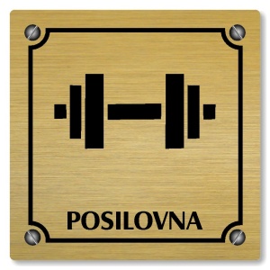 Posilovna, 100x100mm, zlatá, Kansas